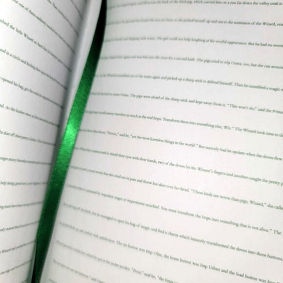 Wizard of Oz Novel Journal Tiny Text forms ruler lines Dorothy Wicked Witch NEW - Picture 5 of 11